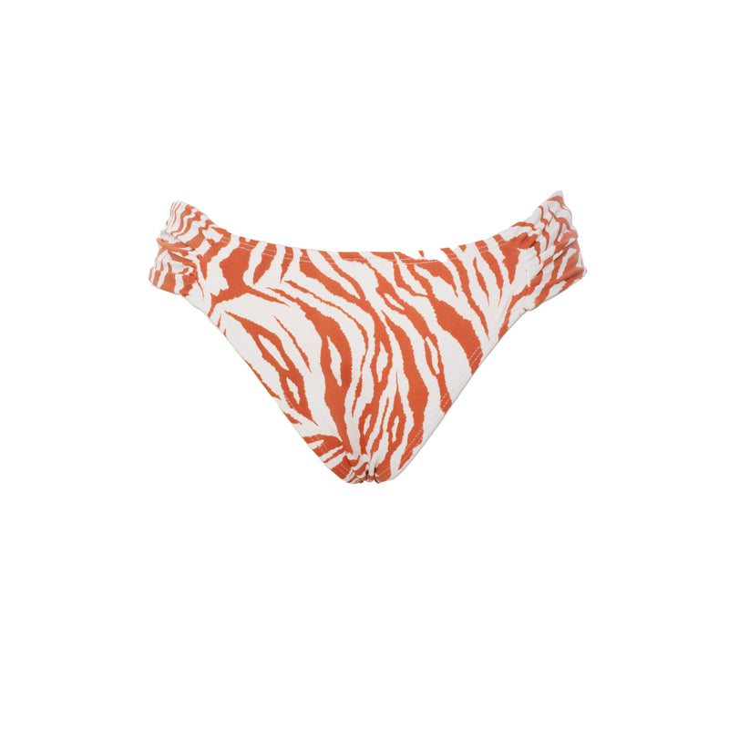 BRASILEÑA MARIPOSA CEBRA OCRE