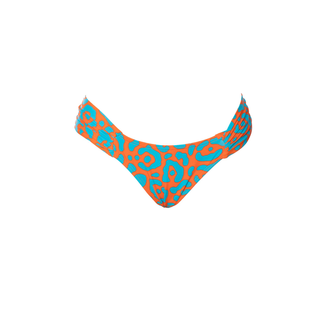 BRASILEÑA MARIPOSA LEOPARDO NARANJA CON AZUL